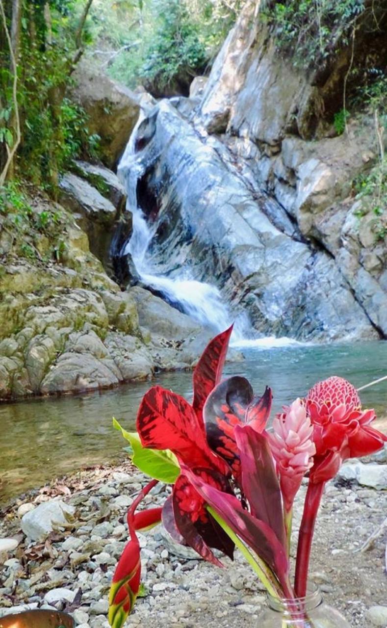 Glamping Finca Margaritas Pluma Hidalgo Exteriör bild